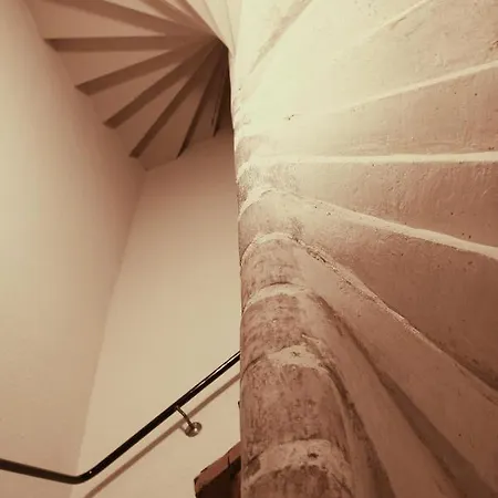 Madame Bergamote Appartement Nancy