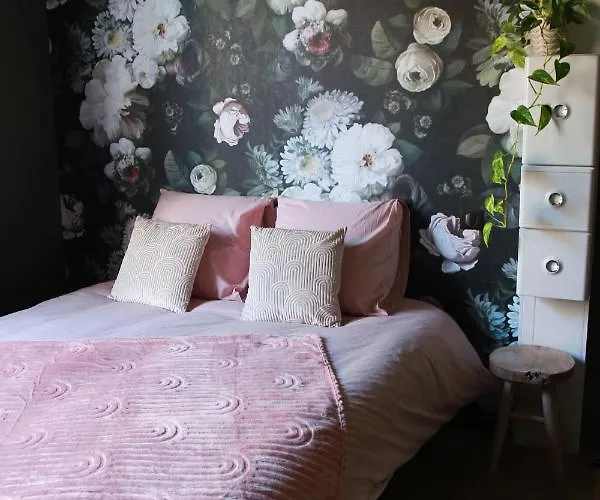 Madame Bergamote Апартаменты Нанси